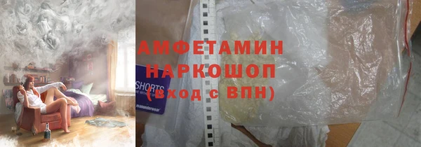 молекула духа Осинники