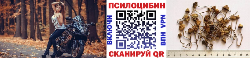 цены   Старый Крым  Псилоцибиновые грибы мицелий 